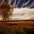 Jaroot Farms's profile image