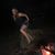 Jennifer Porter's profile image