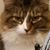 Katie Ann McMullen's profile image