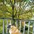 Mercey Kay Luepke's profile image