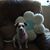 Holly Hill's profile image