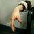 Chris McNabb's profile image