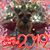 Anita Sendek's profile image