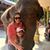 Amanda Mahon's profile image