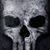 Kevin Spears's profile image