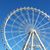Moya Devine's profile image