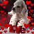 June M Myers's profile image