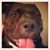 Anthony Cimini's profile image