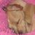 Rebecca Glantz's profile image