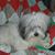 Ardeta Romanchik's profile image