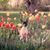 Sherry Golden's profile image