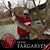 Brandon Teel's profile image