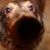 John Runyan's profile image