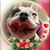 Nancy J Morgan's profile image