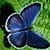Pamala Little's profile image