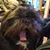 Kerry L. Grantham's profile image