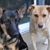 Sara Grimm Cocolin's profile image