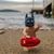Roxanne Mughal's profile image