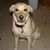 Nancy Colgan's profile image