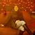 Misty Sorrels's profile image
