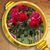 Shirley Daigre's profile image