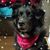 Stormy Eanes's profile image