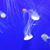 Michelle Wade's profile image