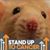 Jo DeMarc's profile image