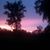 Kathleen McDougald's profile image