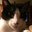 Shannan Fraser's profile image