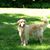 Judy Dorph-Ocello's profile image