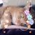 Belinda Worrall's profile image