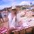 Melinda Thomason O'Neill's profile image
