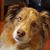 Tracy Fries's profile image