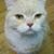 Carolyn Kostopoulos's profile image