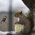 Pattee Burchett's profile image