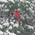 Lane AndMarilyn Raxter's profile image