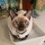 Shelley Brown Laub's profile image