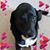 Sue Garrity's profile image