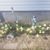 Nancy Cinpinski's profile image