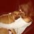 Jordan Taylor Dorsch's profile image