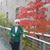 Toby Friedman Seligsohn's profile image