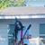 Jeffner Martinez's profile image