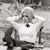 Lynz Sonnier's profile image