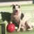 Kalab Parker's profile image