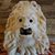 Bonnie M. Seymour's profile image