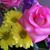 Maureen Kelli Bissell's profile image