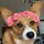 Haru Furukawa's profile image