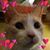 Donna Simmons's profile image