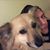 Jen Hutchinson's profile image